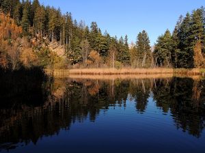 Lanser See