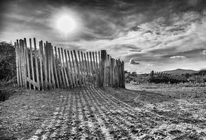 Am Strand