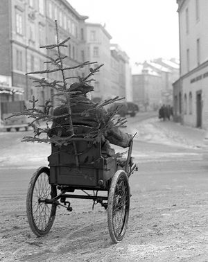 Christbaum