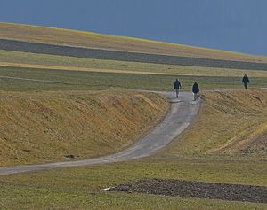 Mieminger Plateau