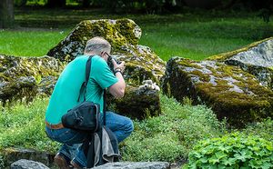 Vorbild Themenfotografie