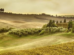 Toscana